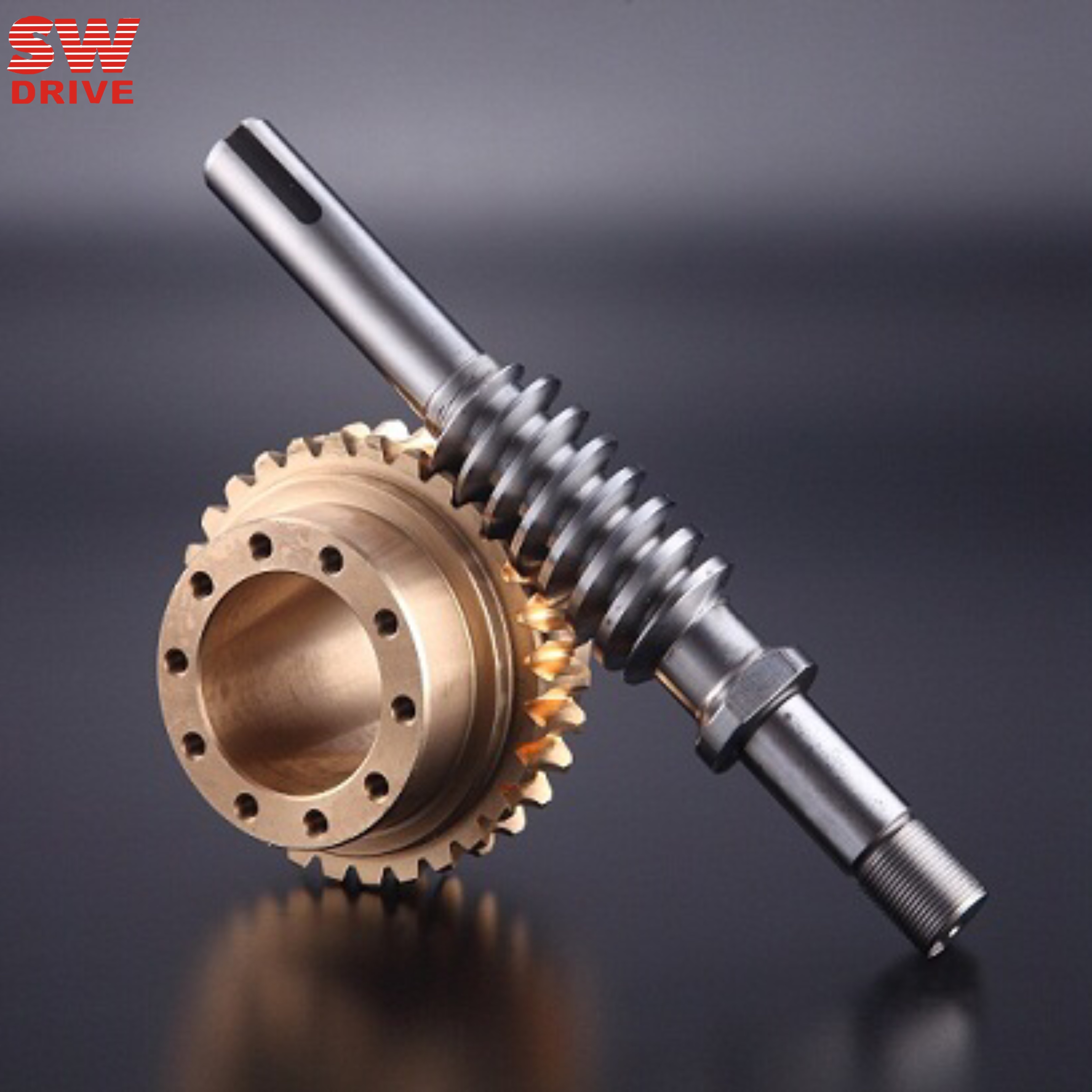 雙導(dǎo)程蝸輪蝸桿 雙導(dǎo)程蝸輪蝸桿